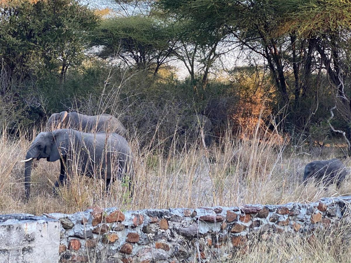 Big 5 Toro Lodge Kasane Exterior photo