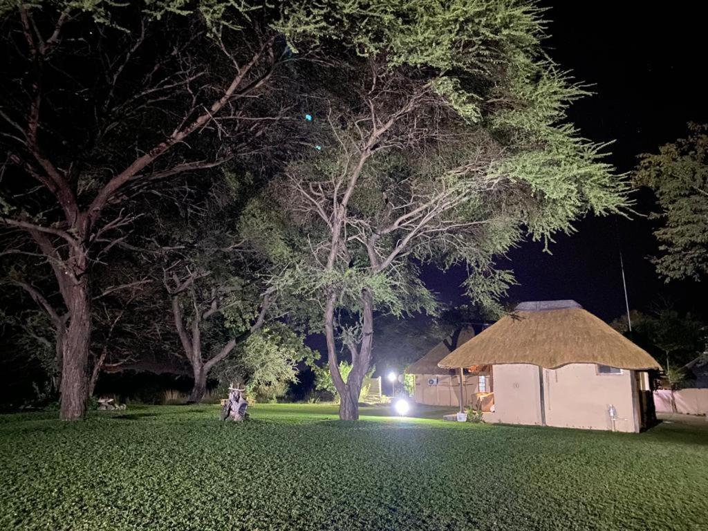 Big 5 Toro Lodge Kasane Exterior photo